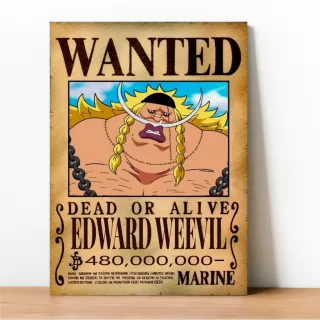 Coleção Exclusiva One Piece: Placa Decorativa Wanted Recompensa - 23