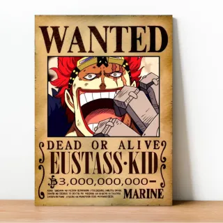 Coleção Exclusiva One Piece: Placa Decorativa Wanted Recompensa - 23
