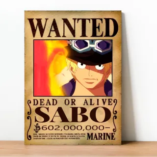 Coleção Exclusiva One Piece: Placa Decorativa Wanted Recompensa - 23