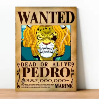 Coleção Exclusiva One Piece: Placa Decorativa Wanted Recompensa - 23