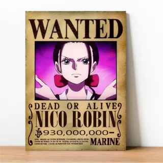 Coleção Exclusiva One Piece: Placa Decorativa Wanted Recompensa - 23