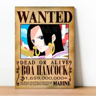 Coleção Exclusiva One Piece: Placa Decorativa Wanted Recompensa - 23