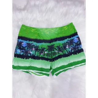 Moda Praia Masculina Sunga Coqueiro Adulto - Verde 1