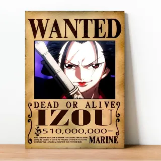 Coleção Exclusiva One Piece: Placa Decorativa Wanted Recompensa - 23
