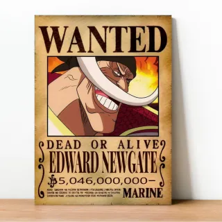 Coleção Exclusiva One Piece: Placa Decorativa Wanted Recompensa - 23