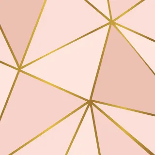 Adesivo de Parede Contact Lavável Zara Rosa Rosê Gold 50cm x 50cm - 0001