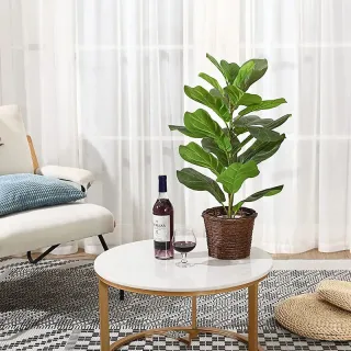 Real Toque Planta Artificial Fícus Lyrata - Decoração Natural - Único