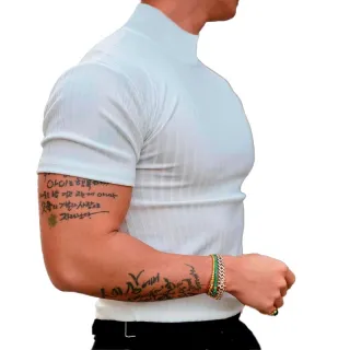 Promoção Camiseta Masculina Slim Gola Alta Manga Curta - Preto