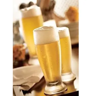 Taça Tulipa Munich Nadir 200ml - Jogo com 6 Copos - Único